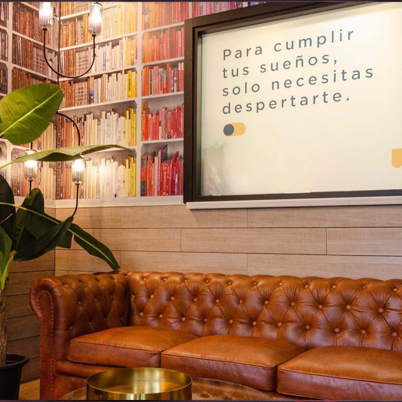 Expresology, ambiente