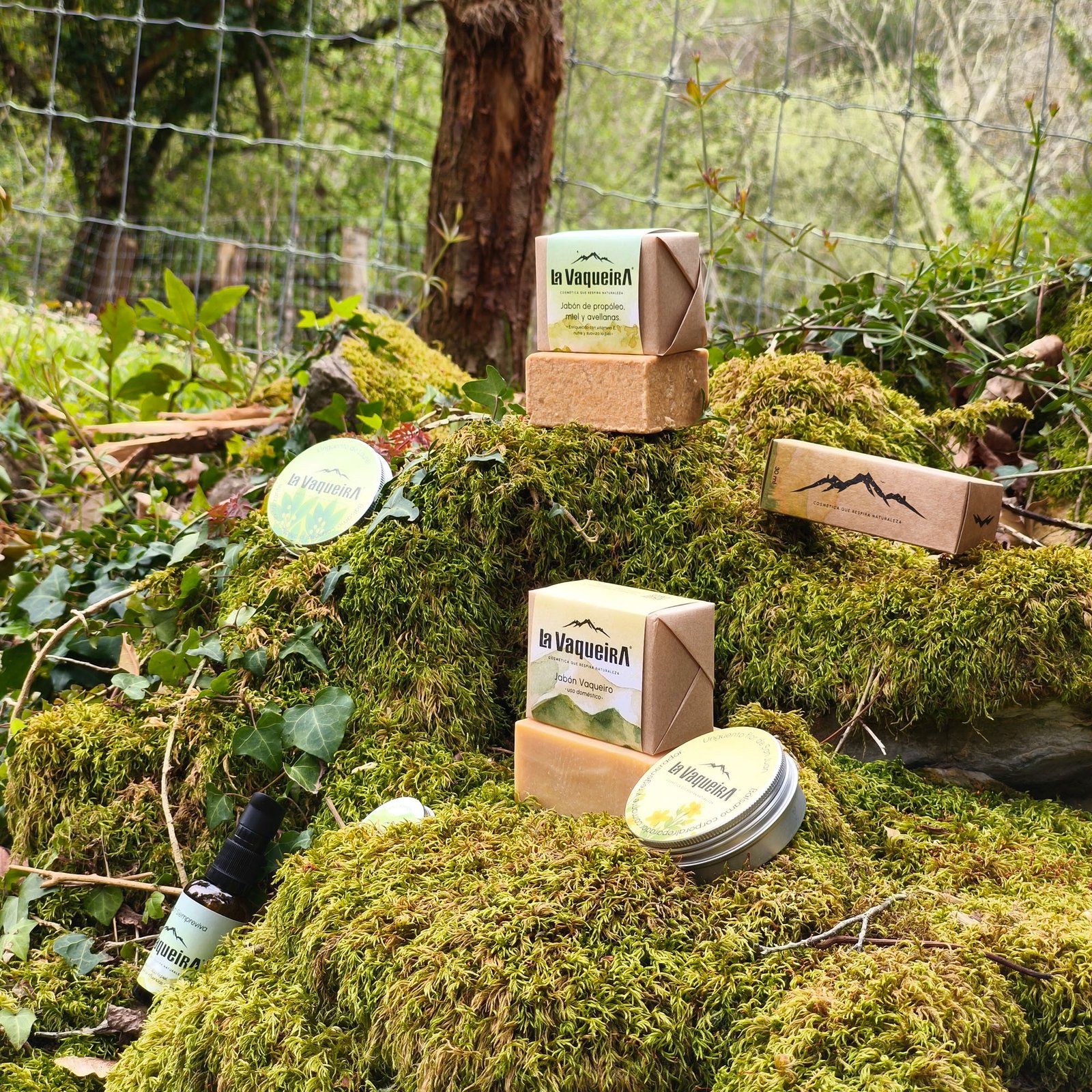 Packaging La Vaqueira