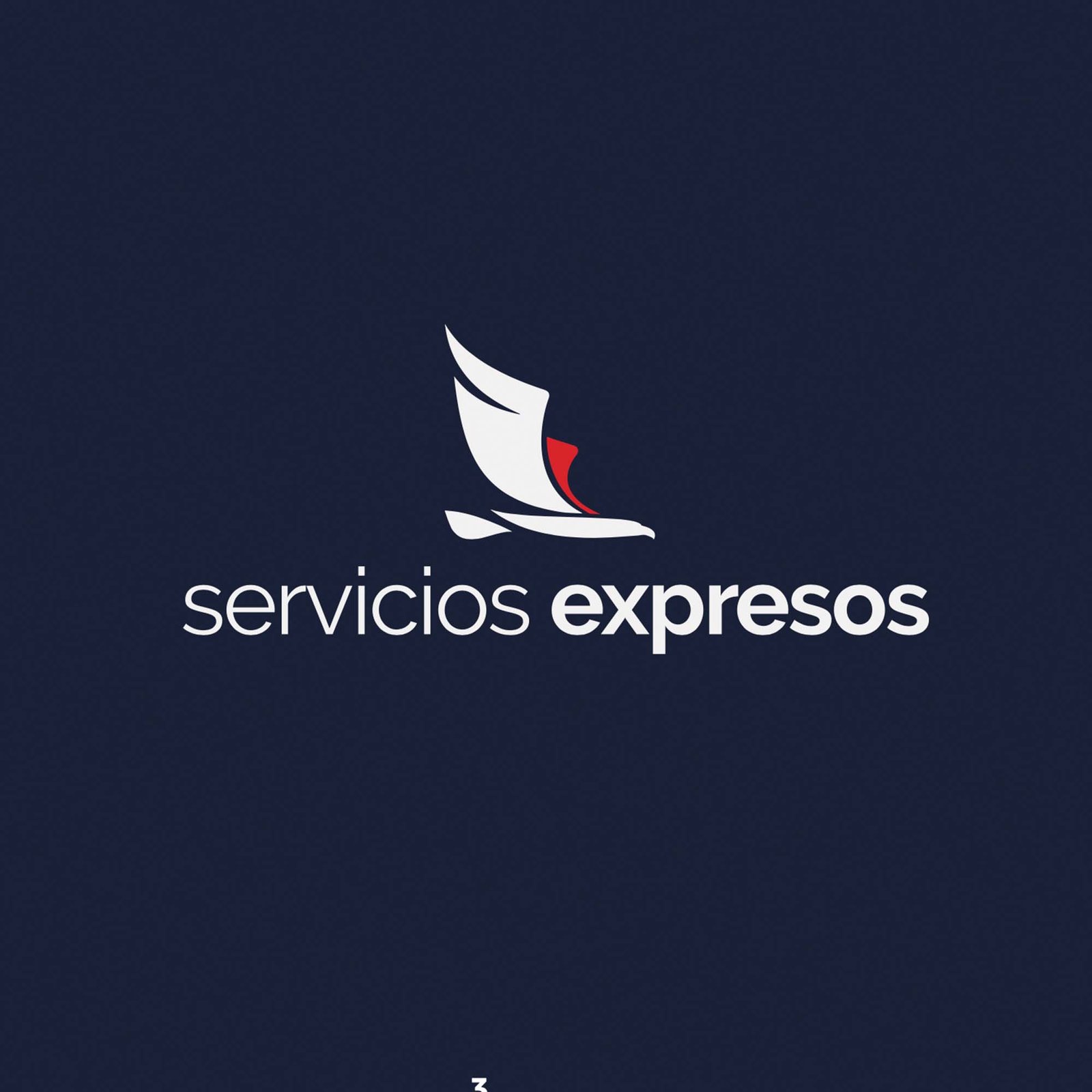 Servicios Expresos