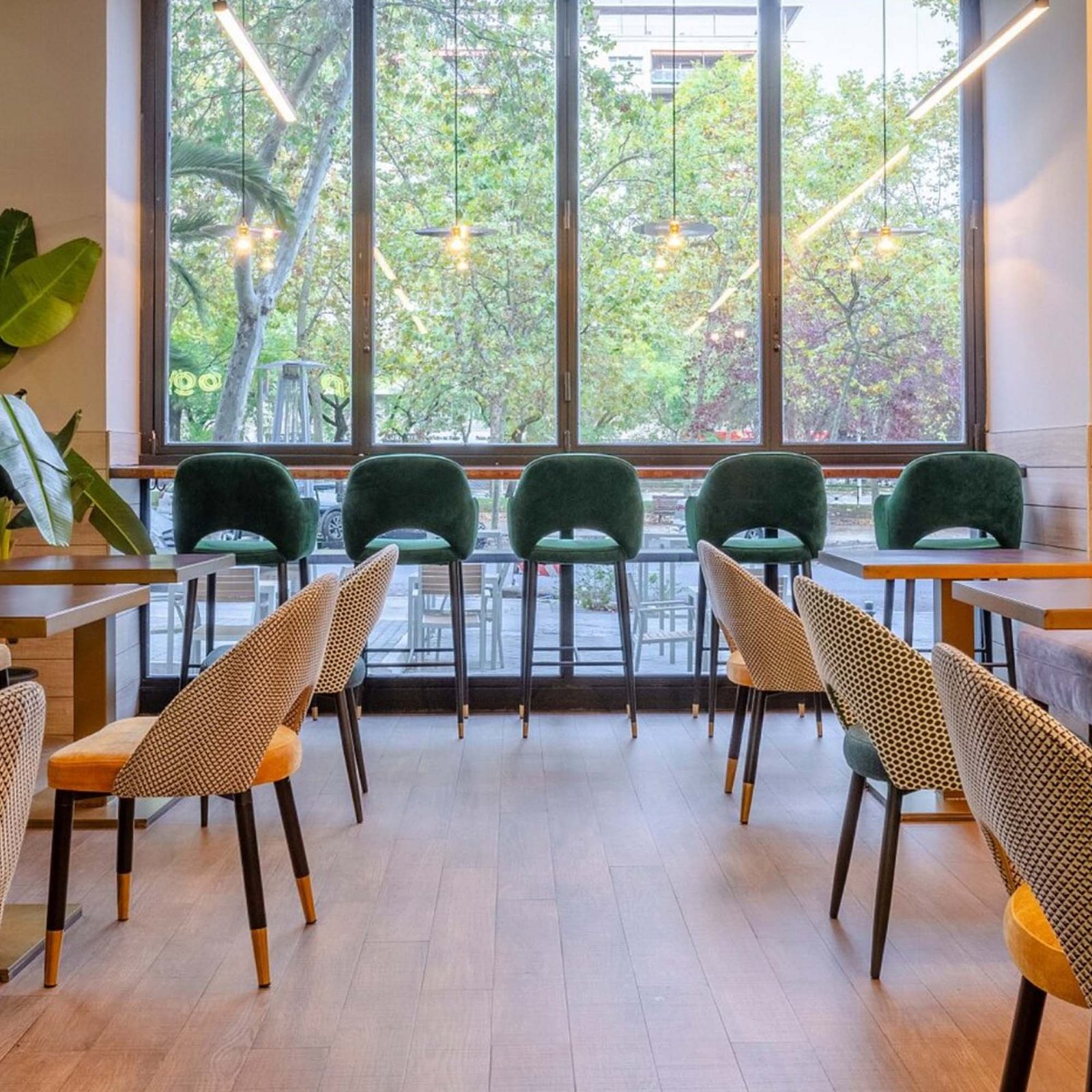 Expresology, cafetería