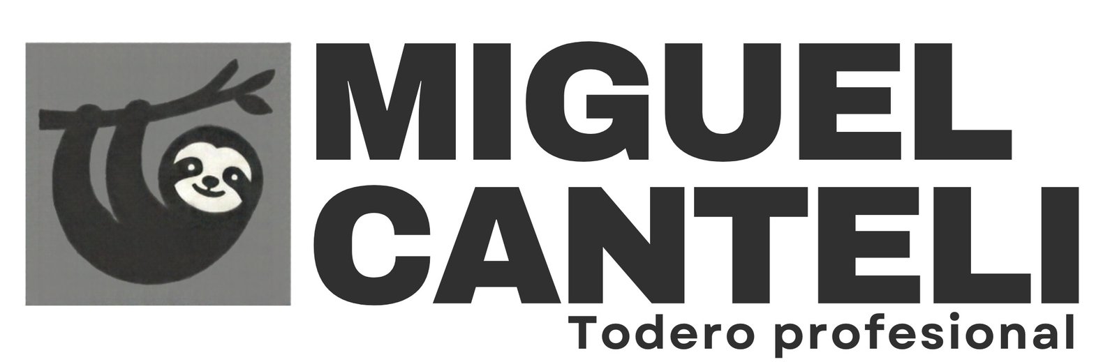 Miguel Canteli · Todero profesional